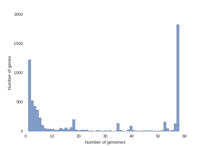 Pan Genome Frequency