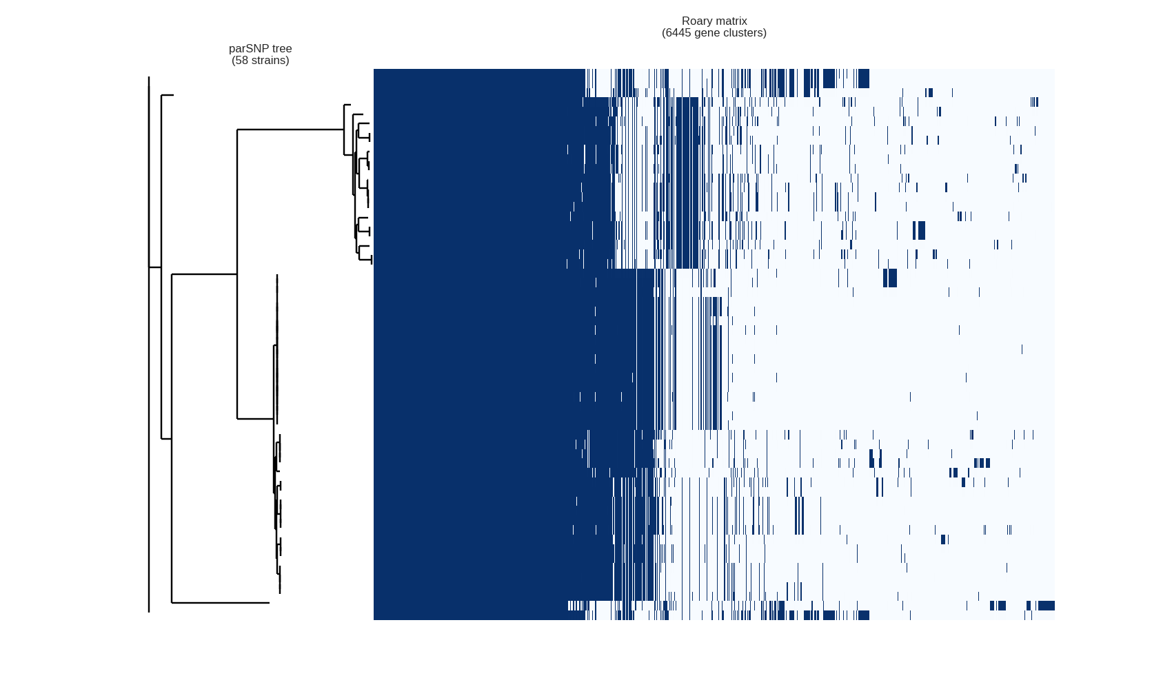 Pan Genome Matrix